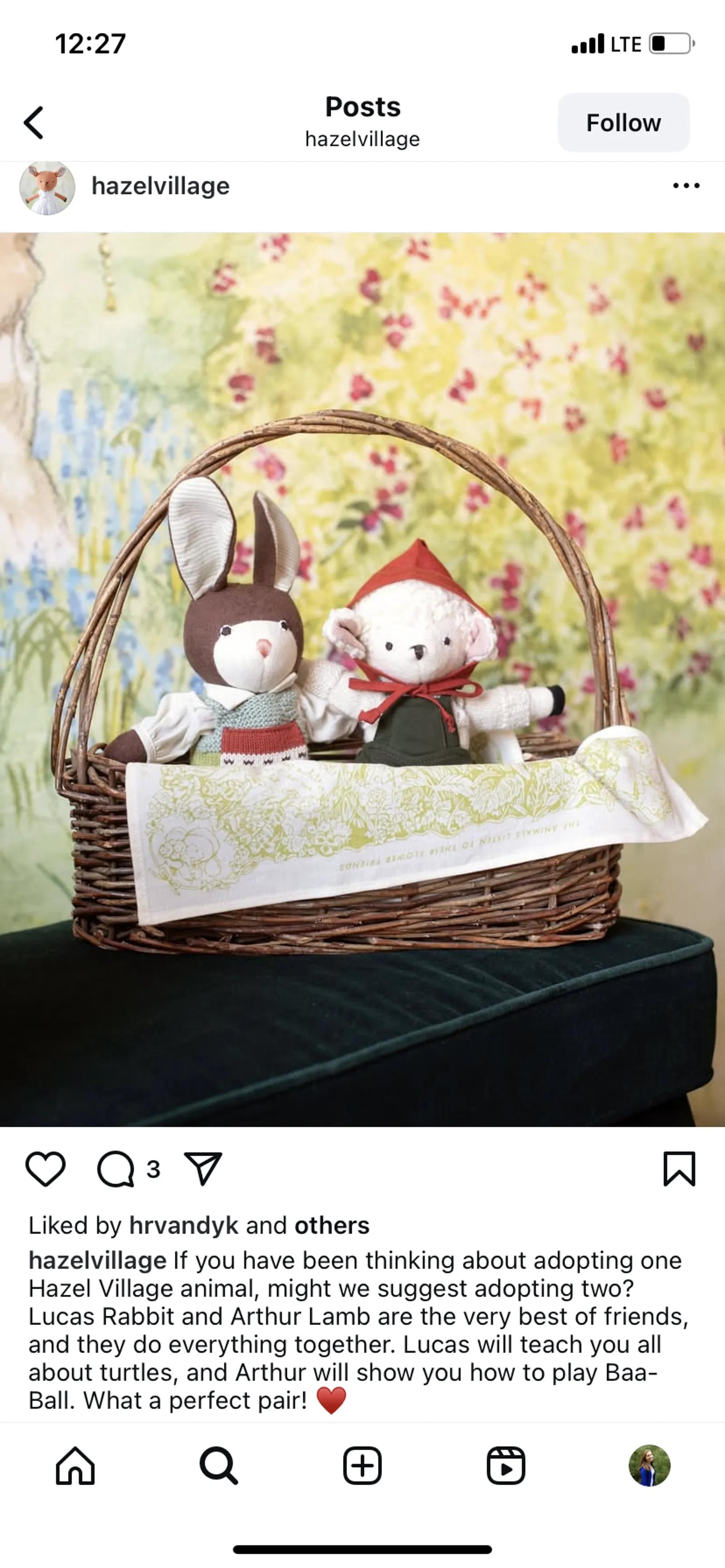 An example social media (Instagram) post from Hazel Village, featuring their dolls.