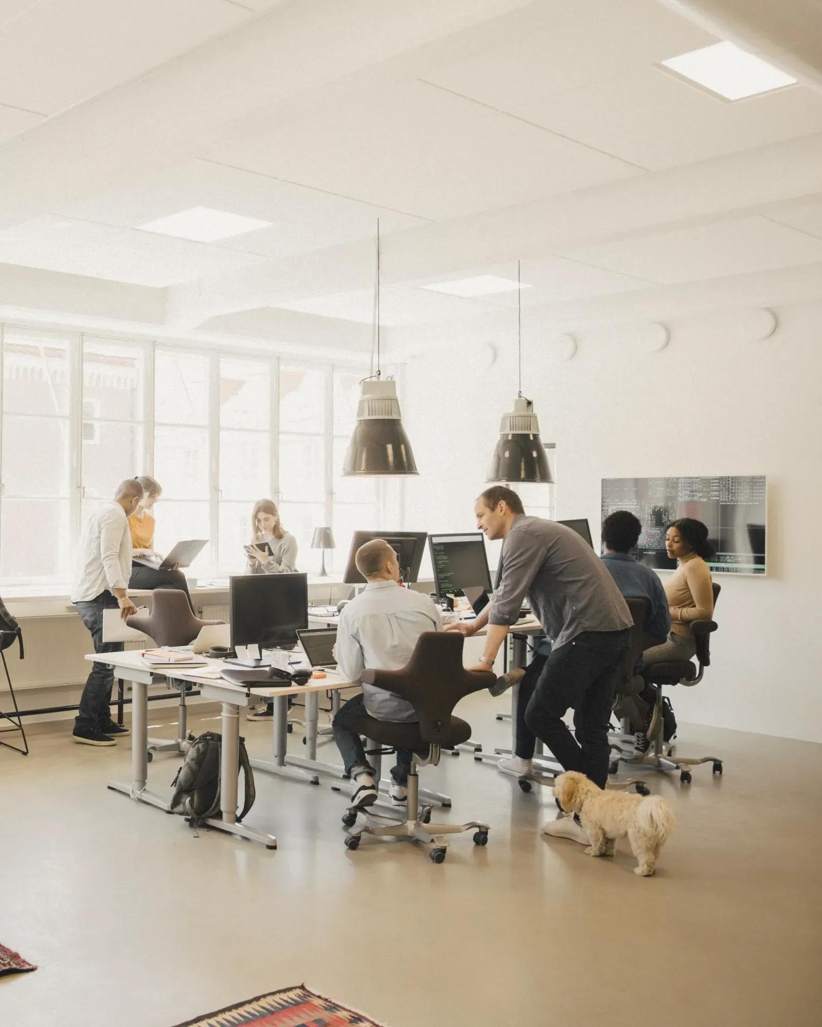 A modern office with people working at desks, some collaborating, and a small, light-colored dog walking on the floor.
