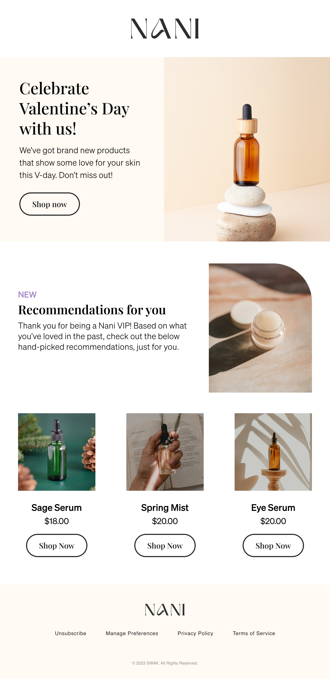 Email showcasing personalized content for VIPs