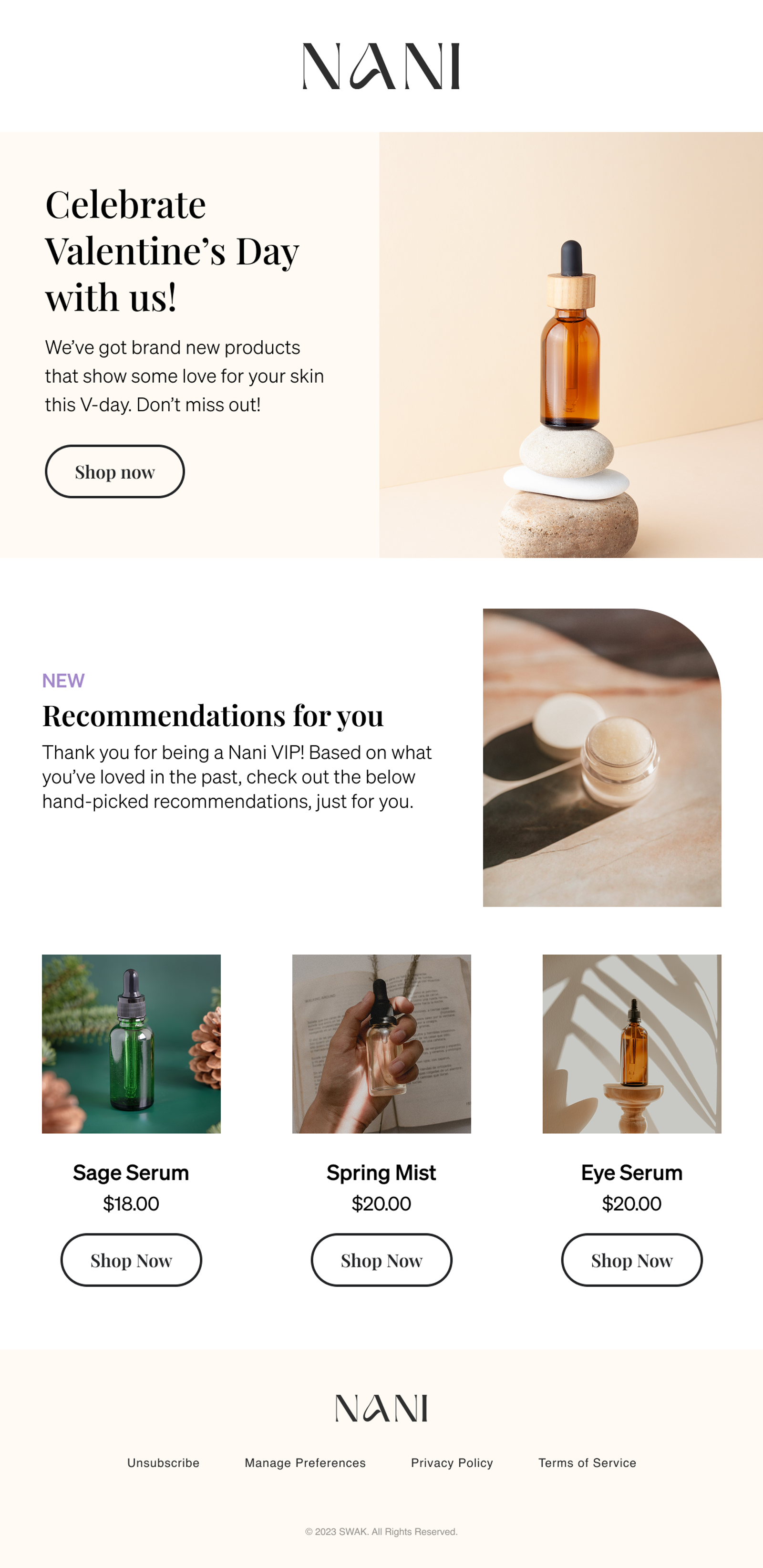 Email showcasing personalized content for VIPs
