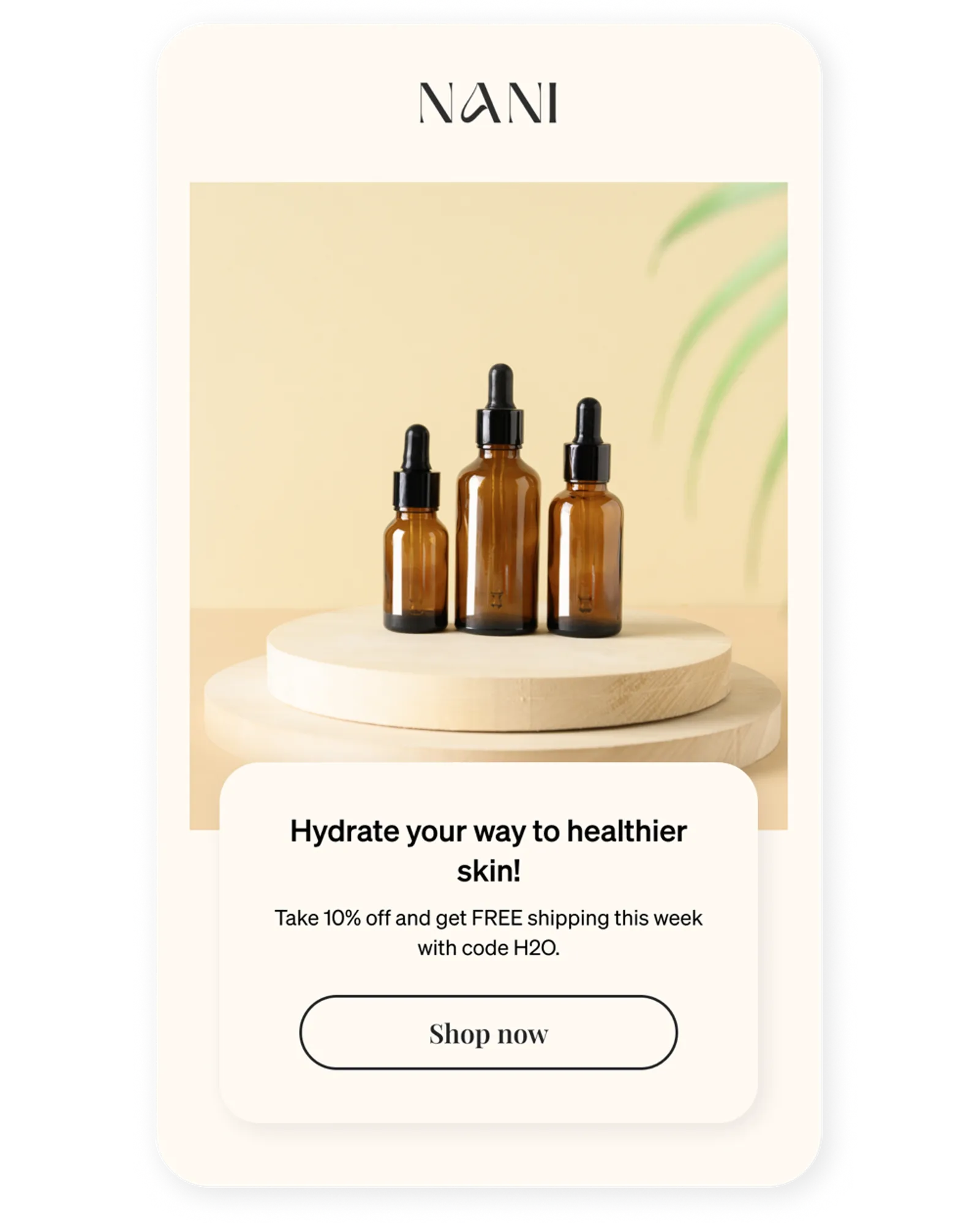 Flow email offering free shipping with minimum purchase