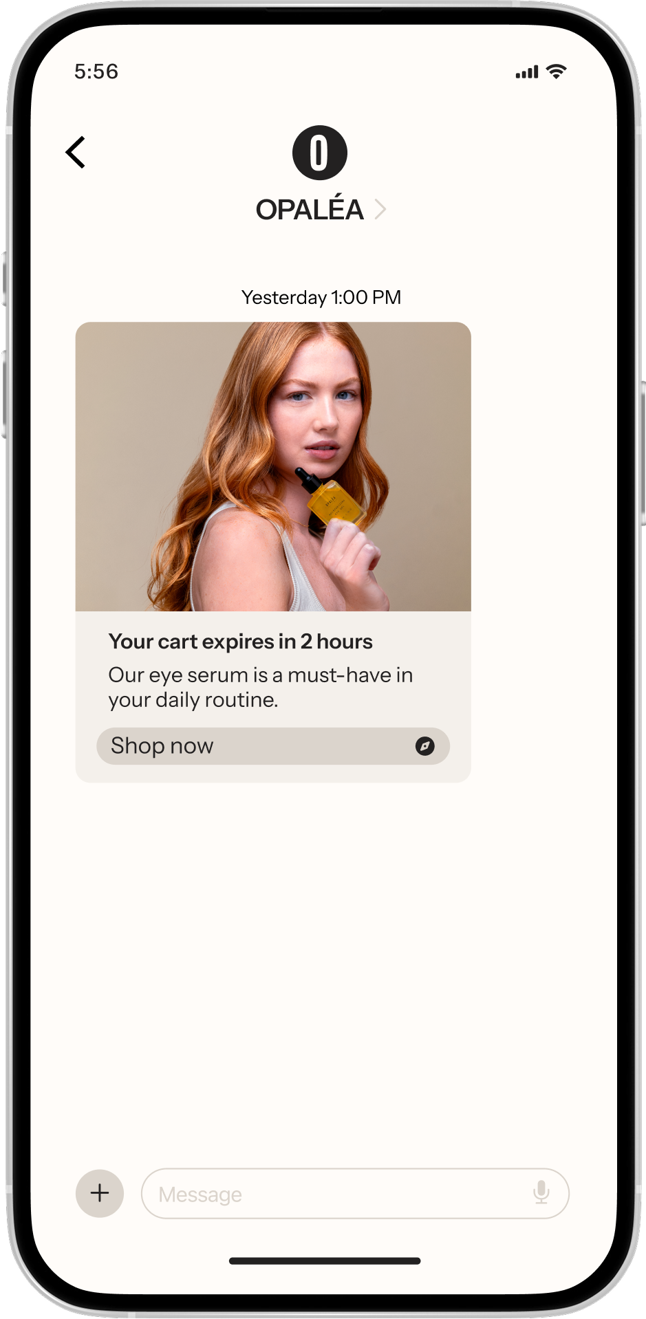 RCS message showing an abandoned cart flow