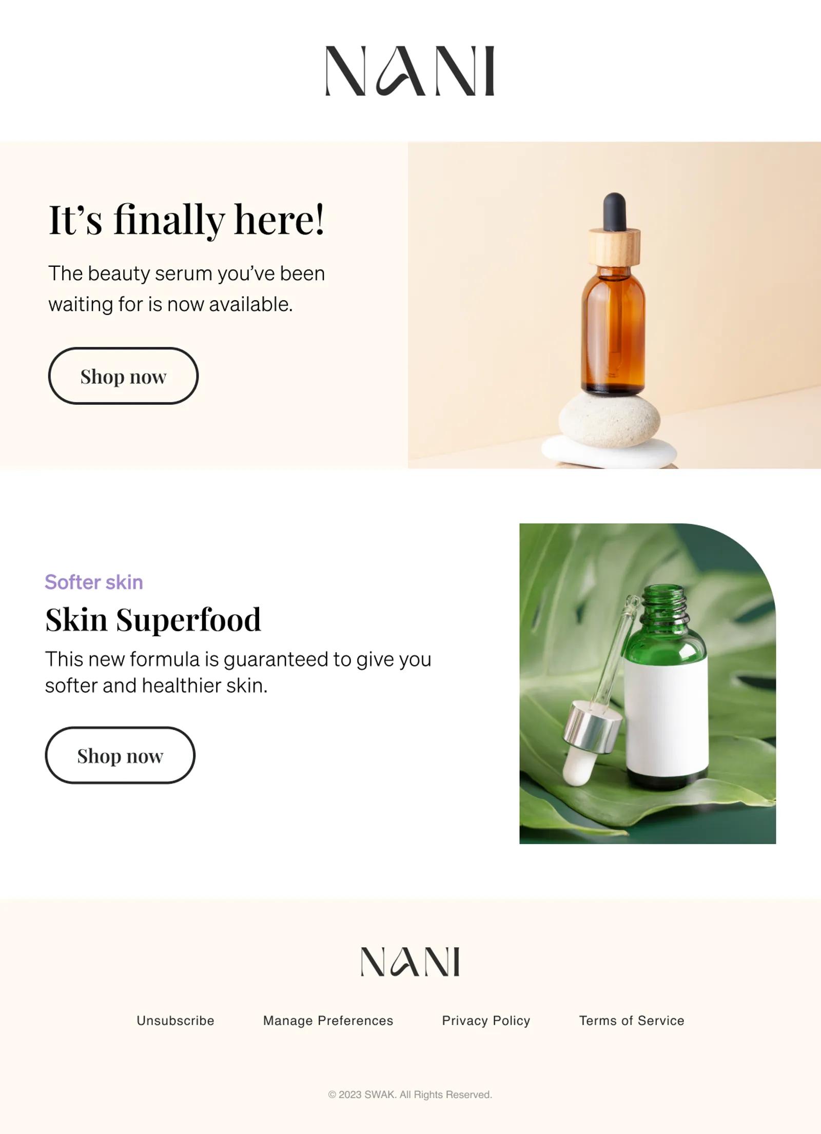 Example of an email newsletter