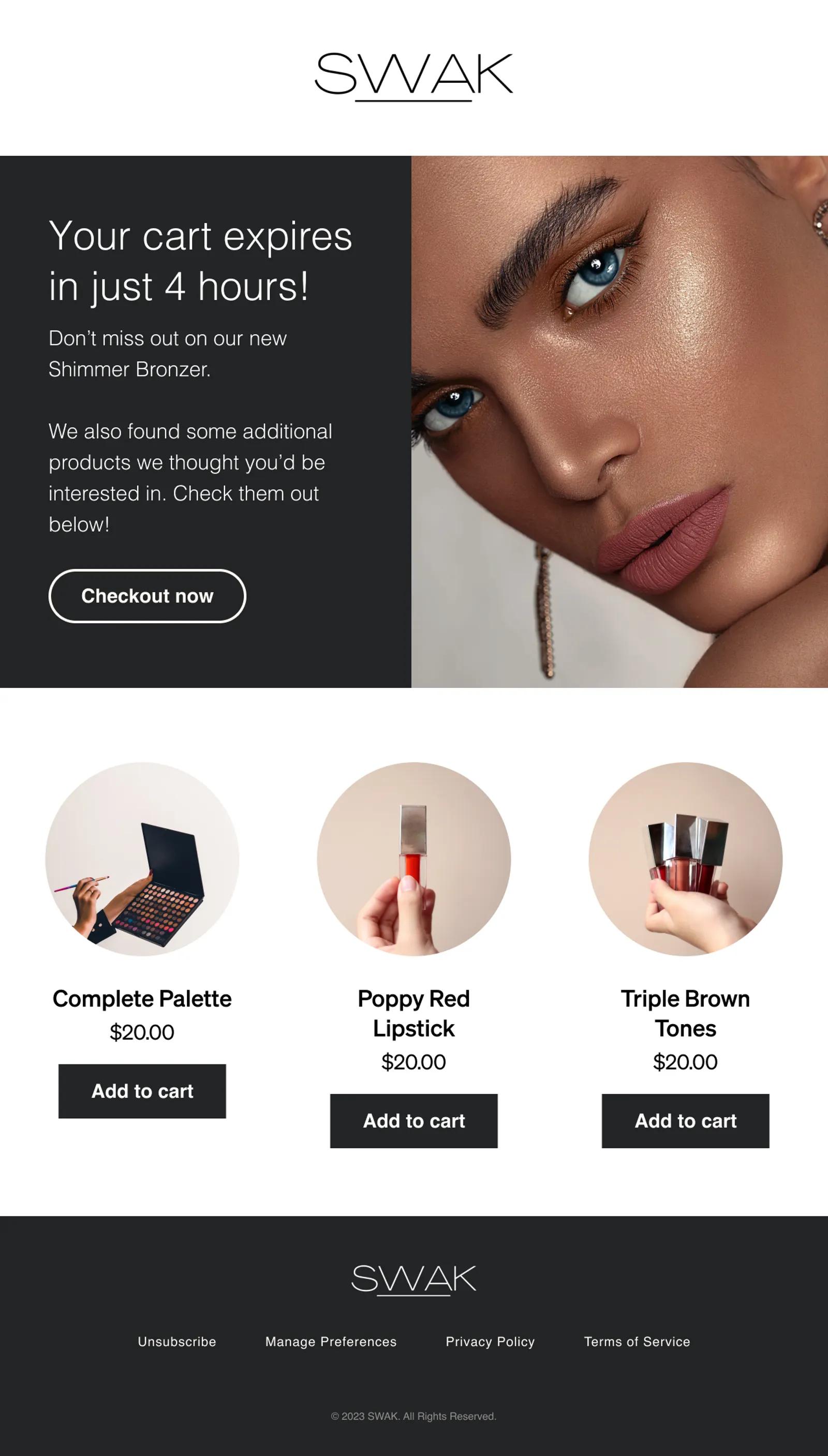 Abandoned cart message showing additional product recommendations