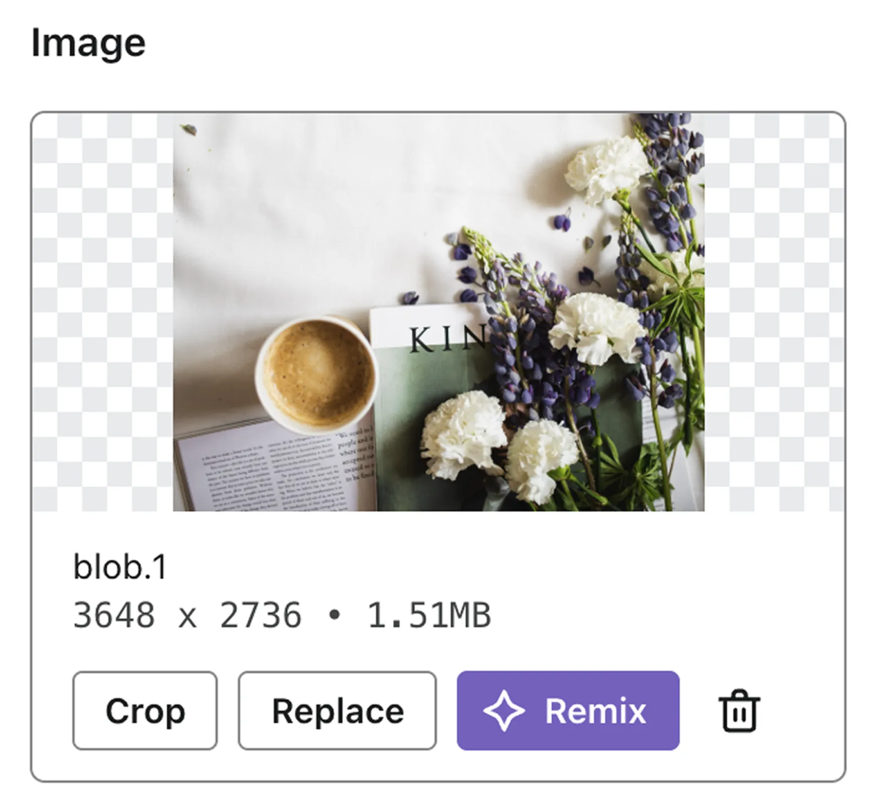 Image Remix