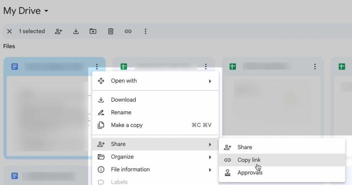 A Google Drive file with the menu open to copy the public link