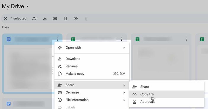 A Google Drive file with the menu open to copy the public link
