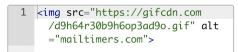 An HTML block containing the copied code