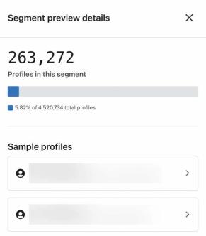 Segment preview details