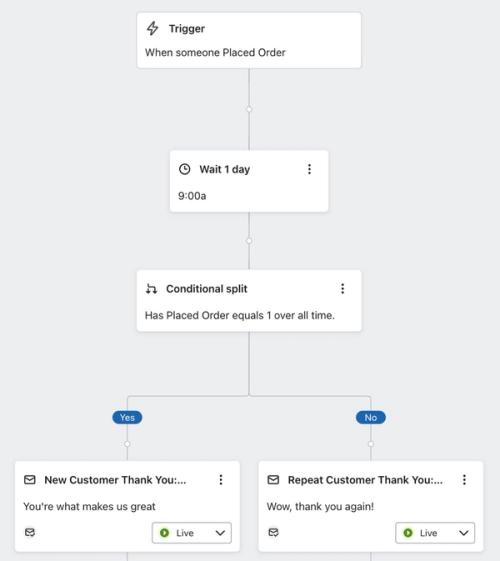 Example flow with Placed Order trigger and a conditional split that checks 'Has Placed Order equals 1 over all time'