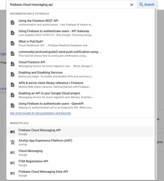 Searching for the Firebase Cloud Messaging API