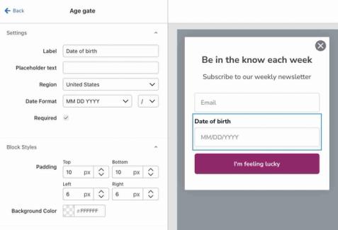 Age gate on a form