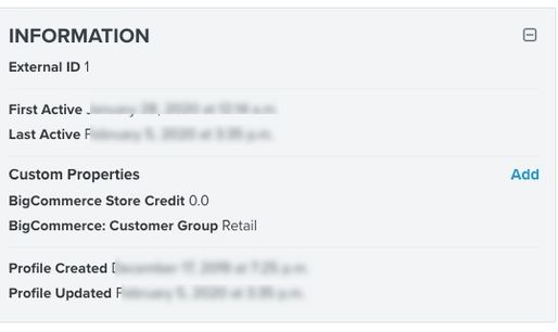Information section of customer profile in Klaviyo showing custom properties synced from BigCommerce including Store Credit and Customer Group