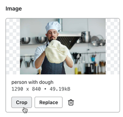 The crop button underneath an image icon in the sidebar