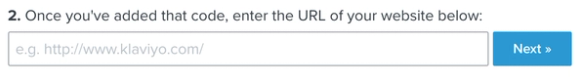 URL text box for Klaviyo web tracking setup test with Next with blue background