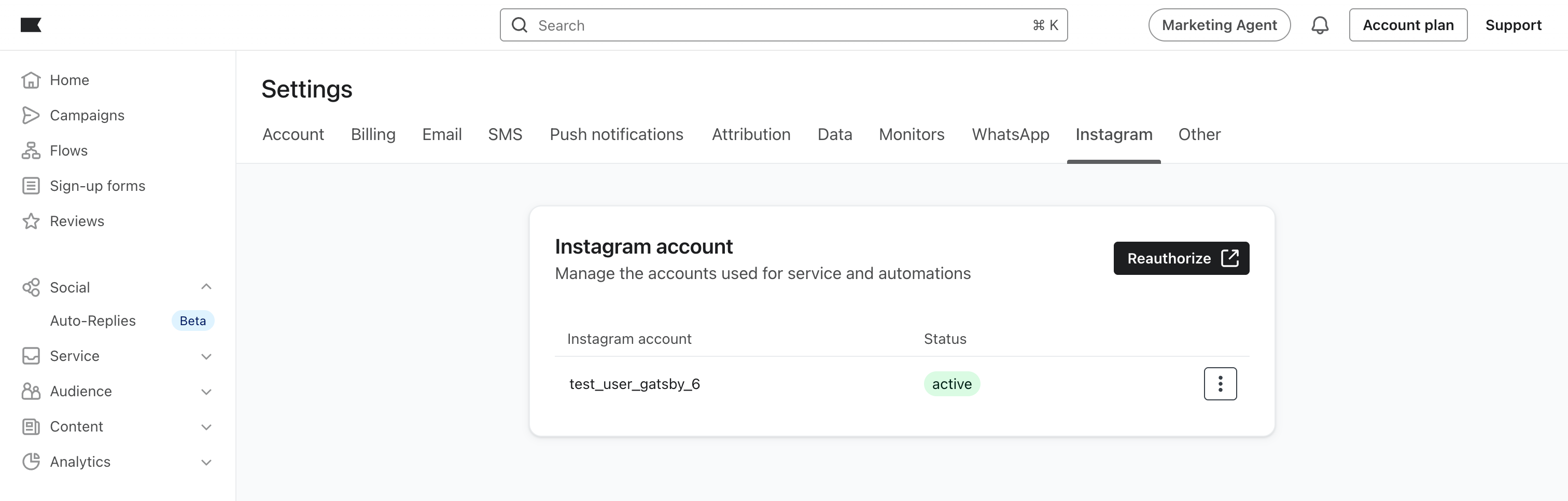 KlaviyoInstagramConnectedSettings.png