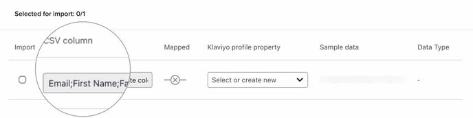 Semicolon delimiter.jpg