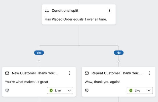 Example of a conditional split that checks 'Has Placed Order equals 1 over all time'