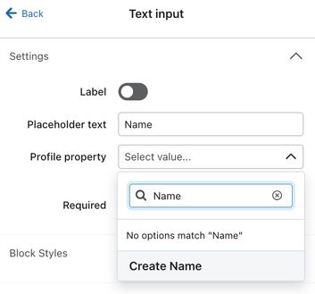 The Profile Property dropdown where you can select or create a property to go with an added input field.