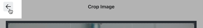 The back arror from the image crop options menu