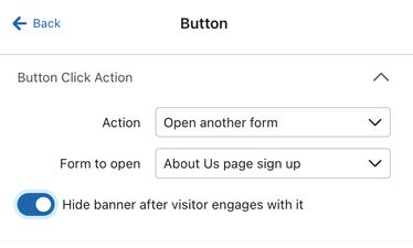 The button menu for a button on a banner form with the action set to Open another form and an example form selected for Form to open.