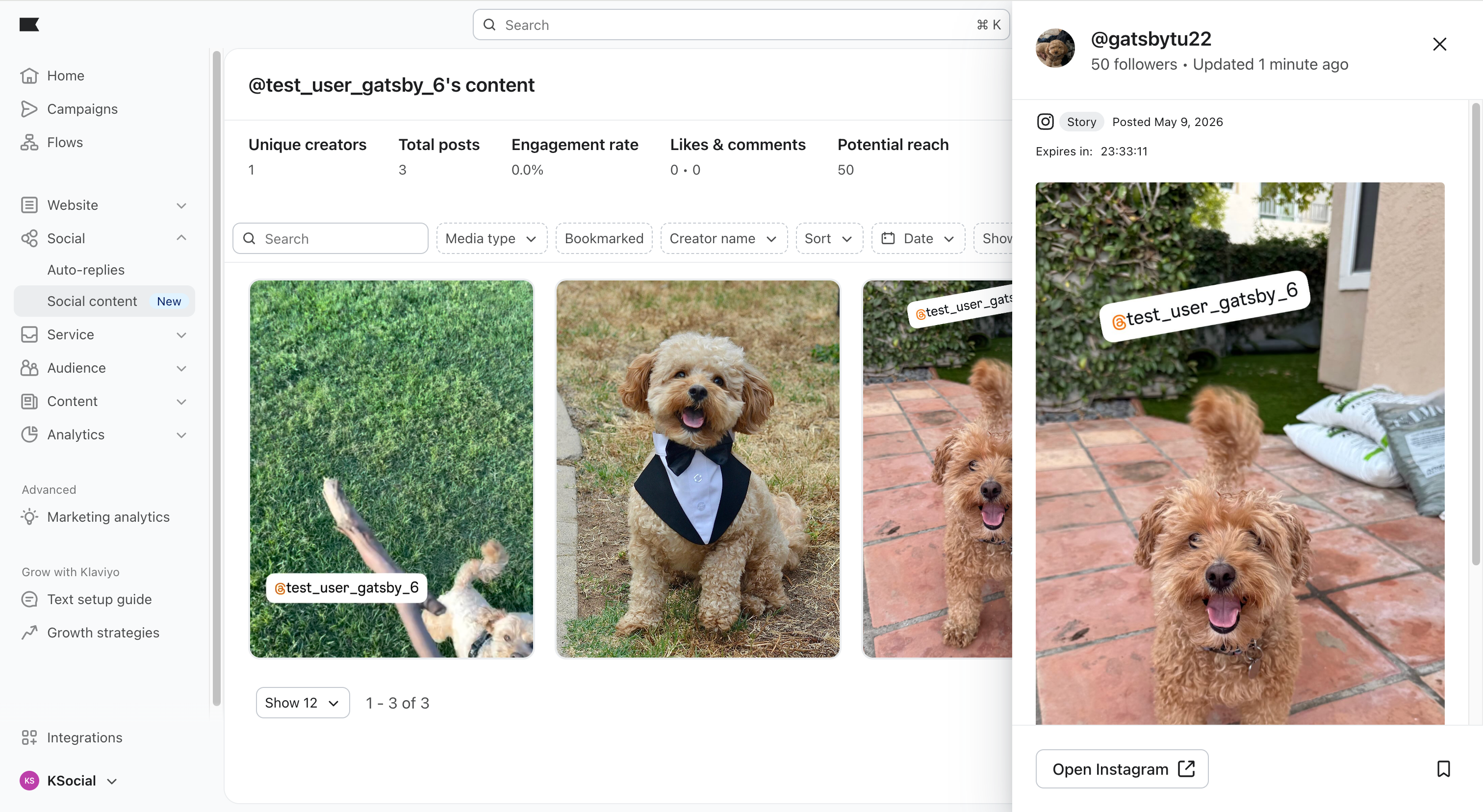 A social media dashboard displaying posts of a small brown dog, with an Instagram story pop-up showing a close-up of the dog.