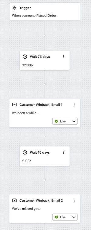 Example customer winback flow