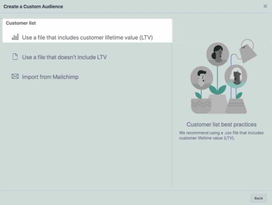 Create a custom audience page in Facebook with Use a file that includes customer lifetime value highlighted in white