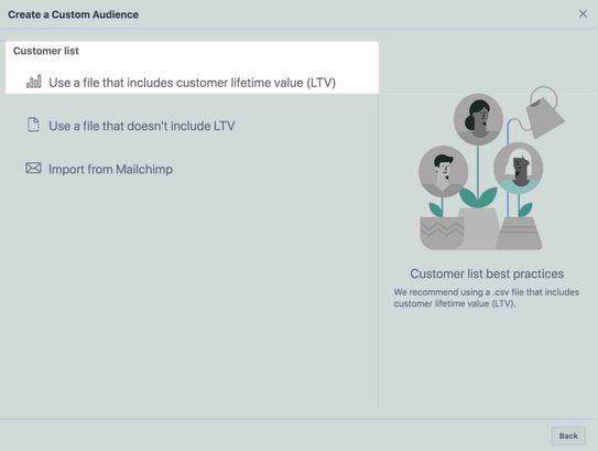 Create a custom audience page in Facebook with Use a file that includes customer lifetime value highlighted in white