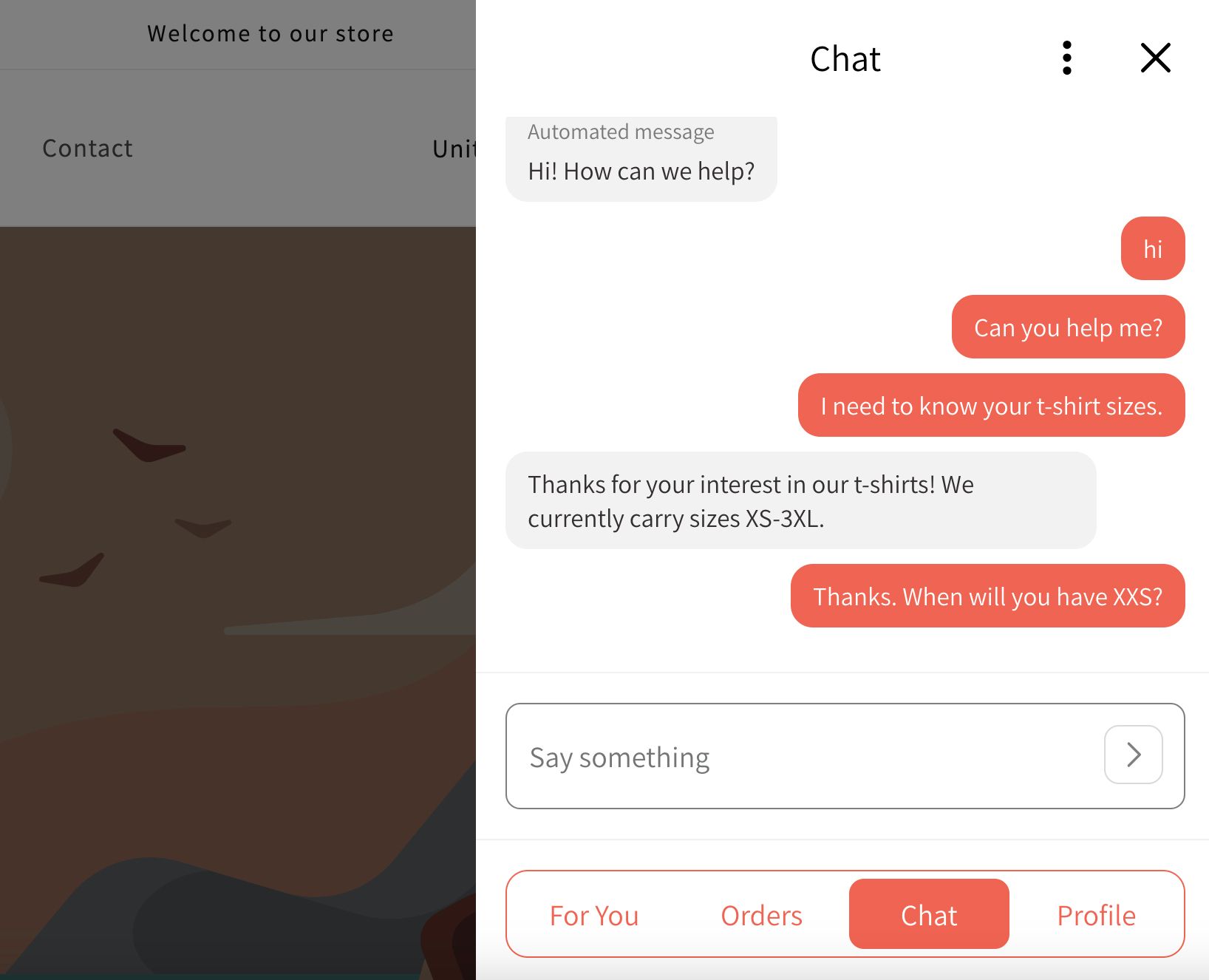 A customer's view of a web chat conversation they're having on a website.