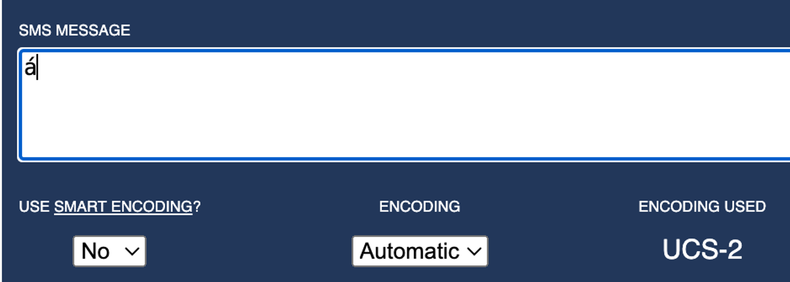 Example of a special character in the message segment calculator