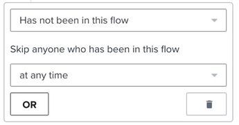 Example filter with definition 'has not been in this flow at any time.'