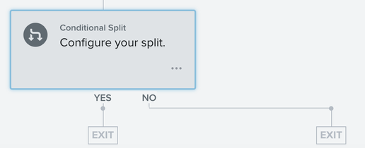 Example of a flow using a conditional split