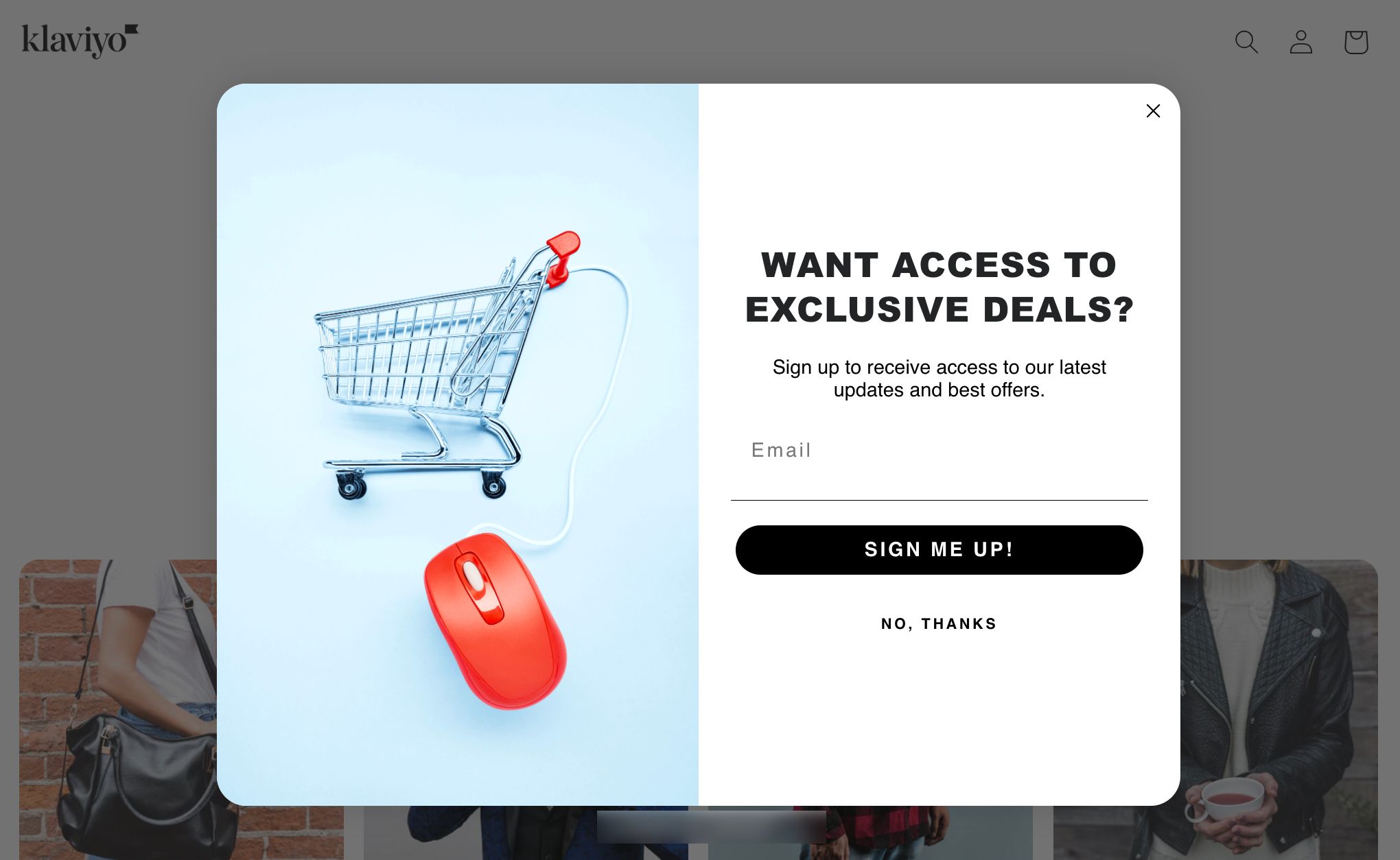 An example popup form published and appearing on a website.