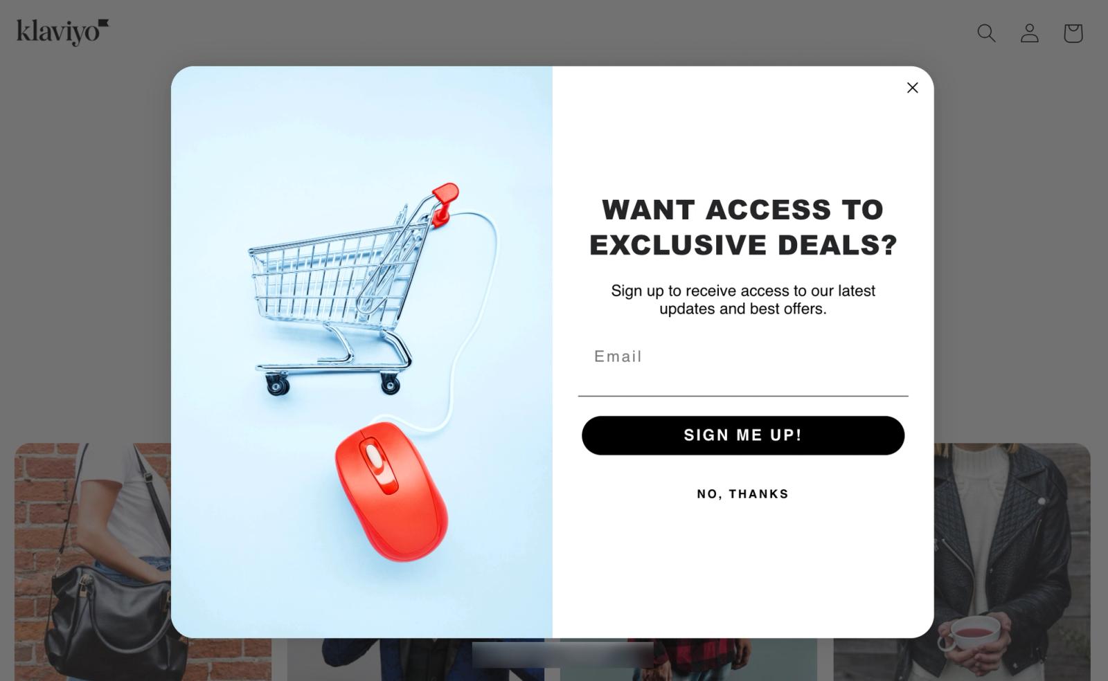 An example popup form published and appearing on a website.