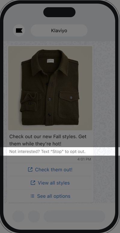 The footer in a WhatsApp message