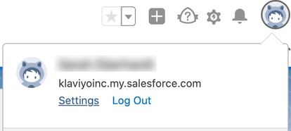 Popup in Salesforce showing Settings and Log Out in blue