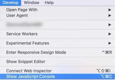 Accessing the Safari developer console