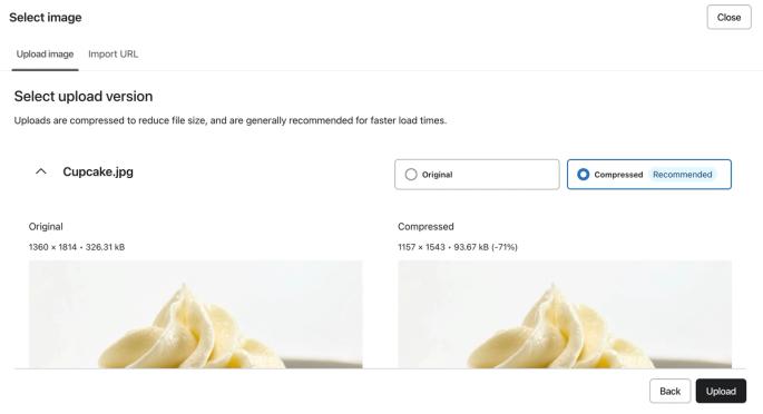The Review step during the image upload process showing an image file comparison.