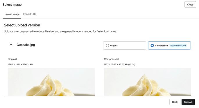 The Review step during the image upload process showing an image file comparison.