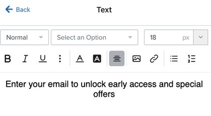 The Text menu that appears when you select any text in the form preview within the form editor.