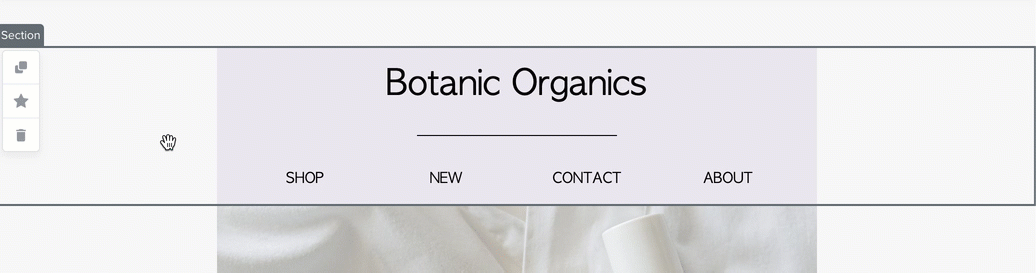 Header Section