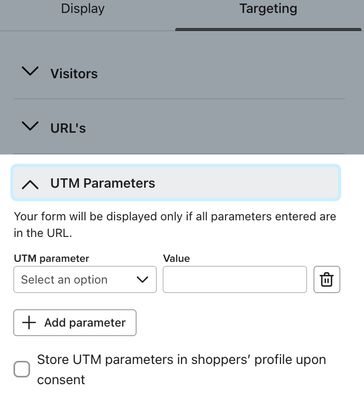 The UTM Parameters section of the Targeting menu where you can add UTM parameters and values to target by.
