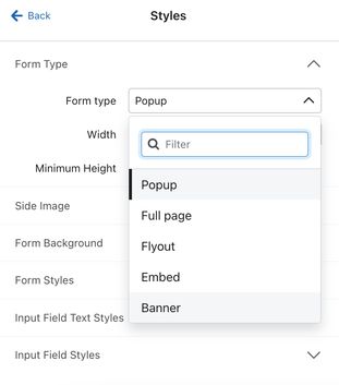 The Form types dropdown open in the Styles tab of the form editor.
