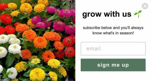 An example form with a left side image.