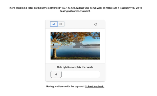 Example reCAPTCHA