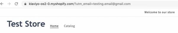 Test store in Shopify with ?utm_email=example@gmail.com amended to URL