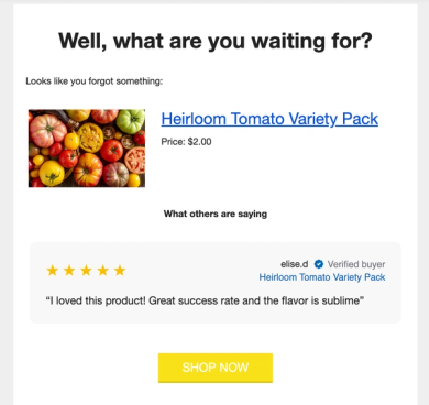 An example review quote block in a browse abandonment flow email