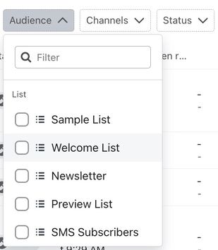 Audience filter dropdown showing example list options in an account