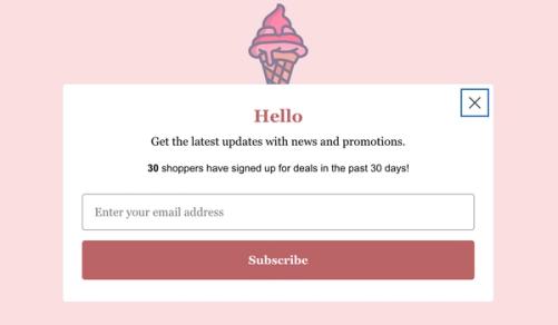 A sign-up form with a sign-up counter block displaying real-time sign-up count on an example website.